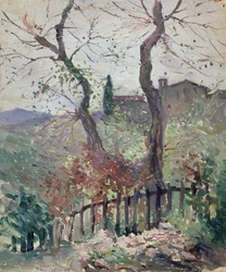 Perugia, Umbria, 1894